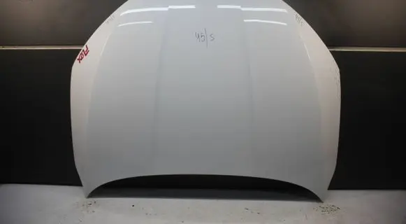 Engine bonnet/hood