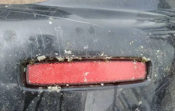 Rear tail light reflector