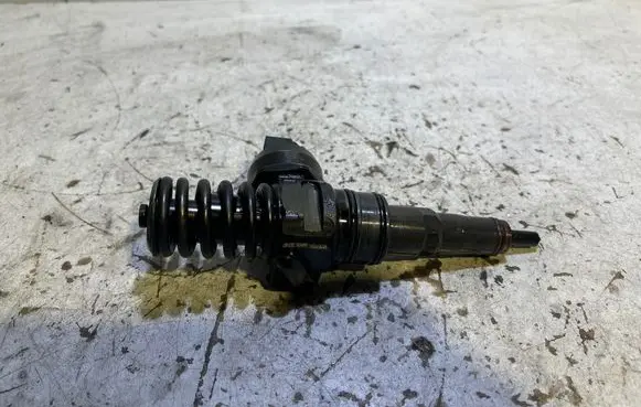 Skoda Octavia Mk2 (1Z) Fuel injector 038130073BN