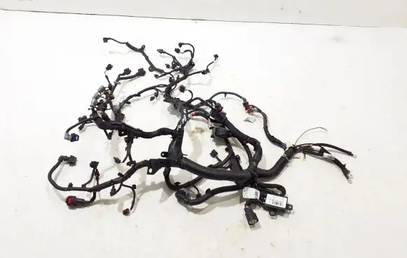 Renault Austral Engine installation wiring loom 240119779S