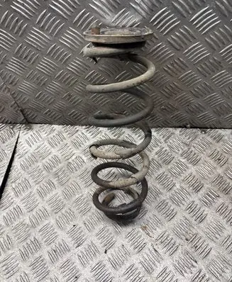 Volkswagen Jetta V Rear coil spring
