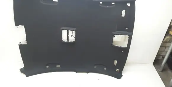 BMW 3 E90 E91 Headlining 8036264
