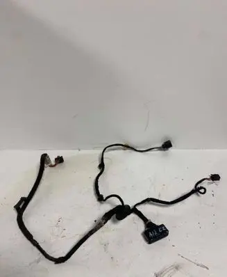 Volkswagen Golf IV Rear door wiring loom 1J4971161K 016131