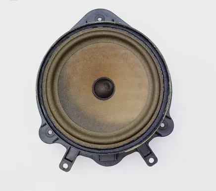 Front door speaker
