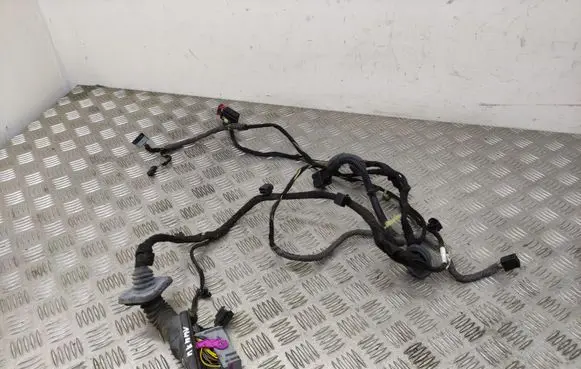 Opel Insignia A Front door wiring loom 22895871