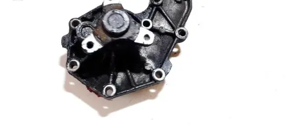 Renault Scenic I Water pump