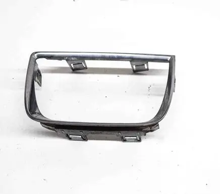 Rear/tail light trim molding