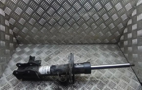 Opel Zafira B Front shock absorber/damper 313480 111500313480 824903008263