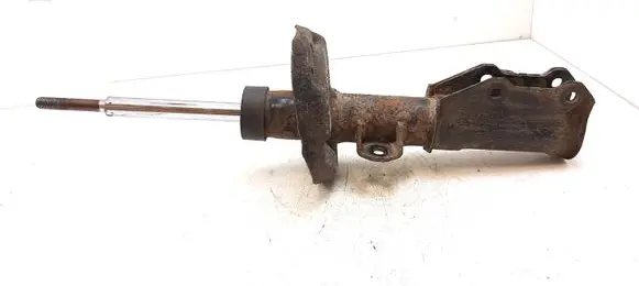 Opel Insignia A Front shock absorber/damper