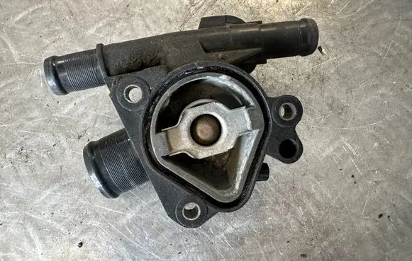 Thermostat/thermostat housing