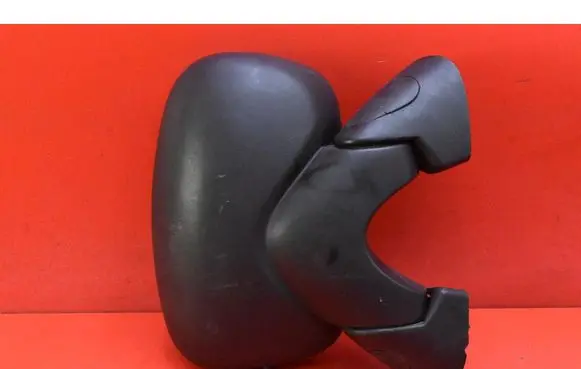 Renault Trafic II (X83) Front door electric wing mirror 010022