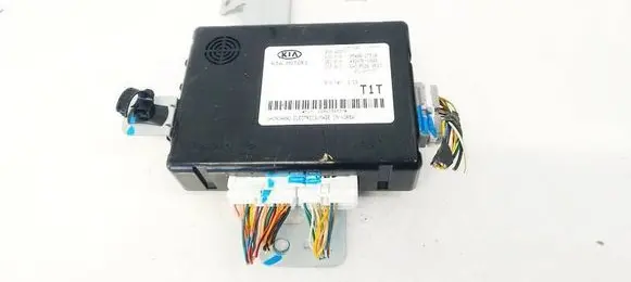KIA Optima Door control unit/module 954002T510