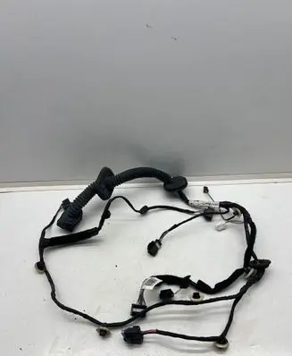 Front door wiring loom
