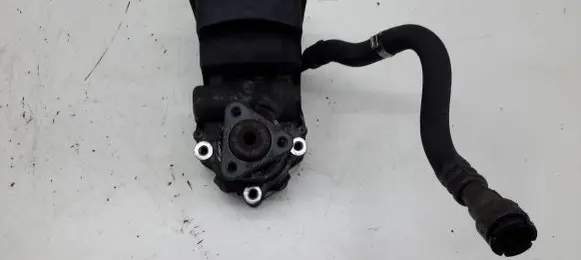 BMW 5 E39 Power steering pump 1095749