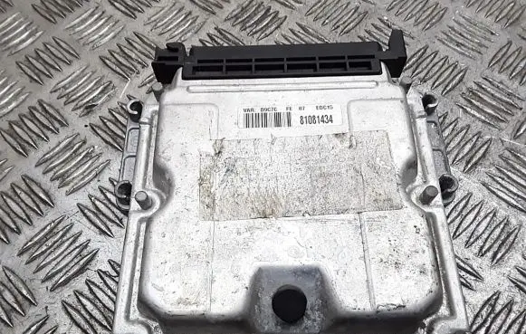 Peugeot 406 Engine control unit/module