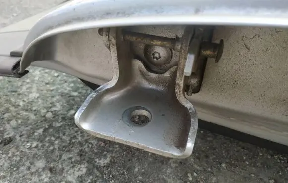 Rear door lower hinge