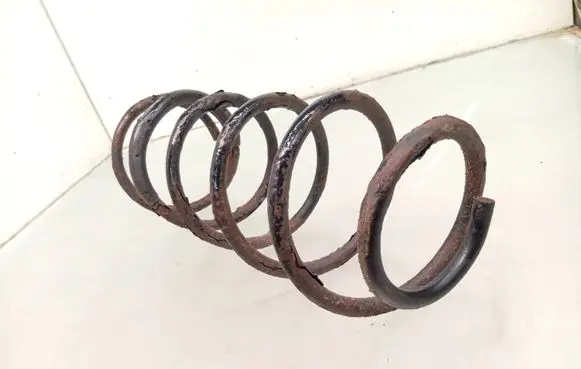 Peugeot 406 Front coil spring