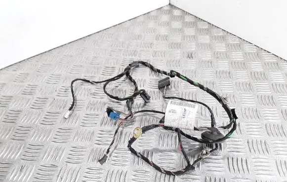 Mercedes-Benz A W169 Other wiring loom A1695403505