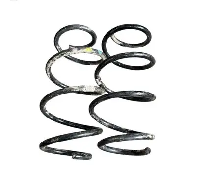 Front coil spring