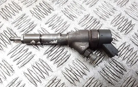 Peugeot 206 Fuel injector 0445110008