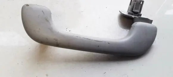 Renault Kadjar Front interior roof grab handle