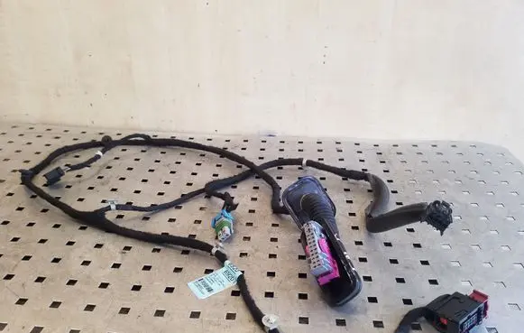 Rear door wiring loom