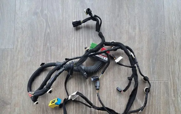 Front door wiring loom