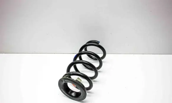 Tesla Model 3 Rear coil spring 104447201E