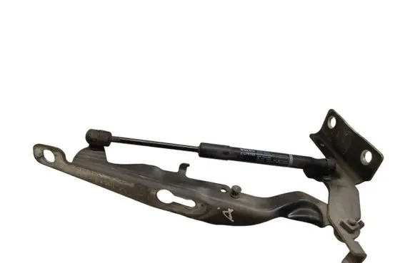 Volvo V60 Engine bonnet/hood hinges 