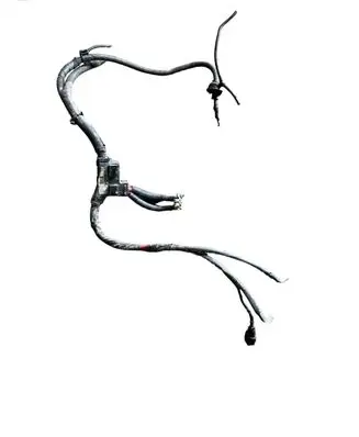 Hyundai Santa Fe Positive wiring loom 918502B201