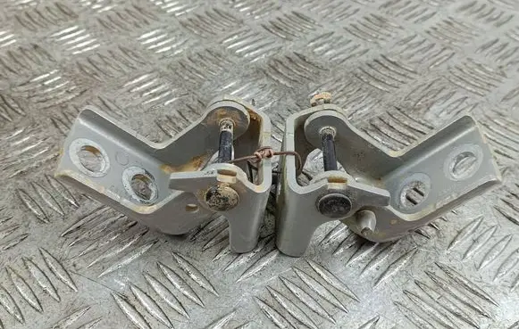 DS Automobiles 7 Crossback Front door hinge set 