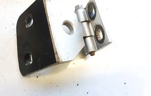 BMW X3 E83 Rear door lower hinge