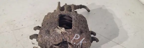 Ford Focus Front brake caliper