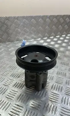 Suzuki Grand Vitara II Power steering pump 66293151 4910067J00