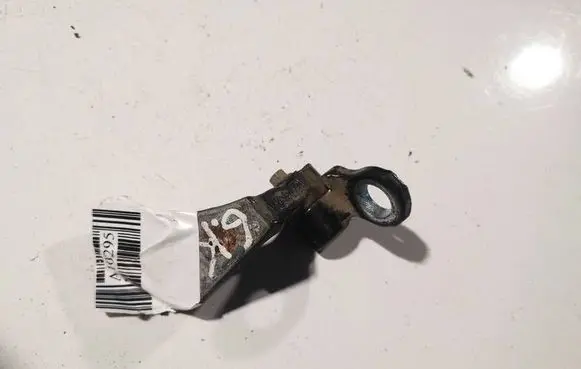 Ford Focus C-MAX Rear door lower hinge