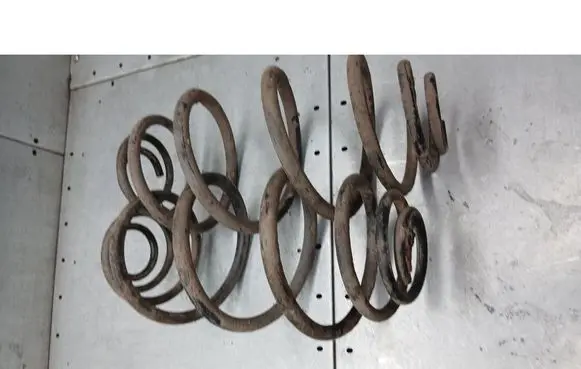 Rear coil spring