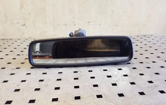 Ford Focus Rear view mirror (interior) E11026532