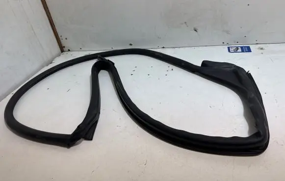 Tesla Model S Rubber seal front coupe door TMSPZ05