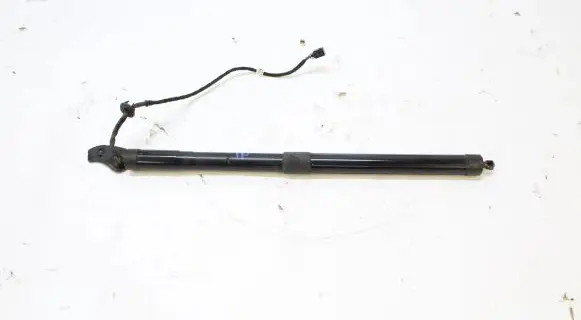 Tailgate strut