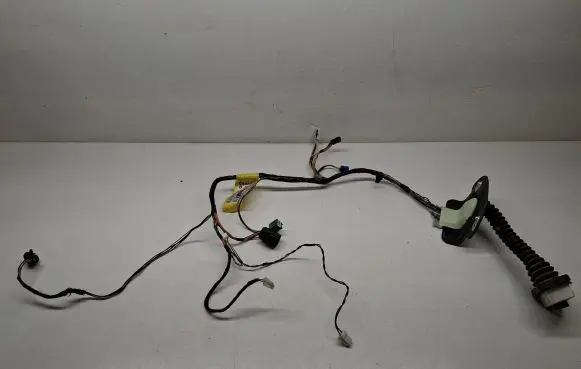 Front door wiring loom