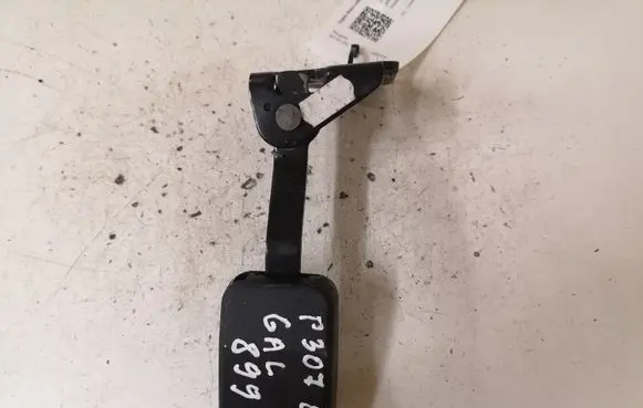 Peugeot 307 Middle seatbelt buckle (rear) EA20953