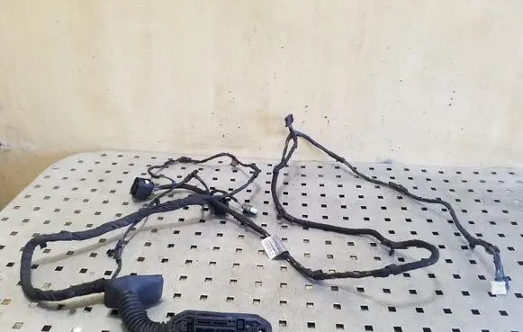 Front door wiring loom