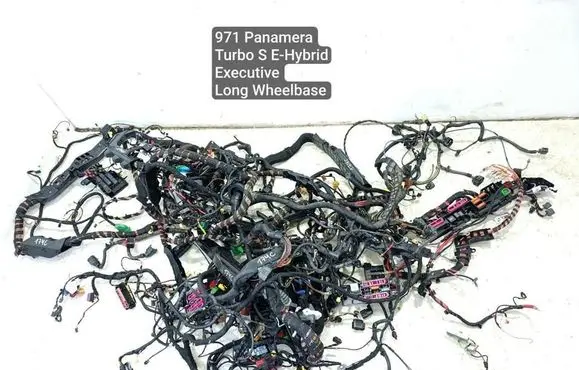 Porsche Panamera (971) Other wiring loom 