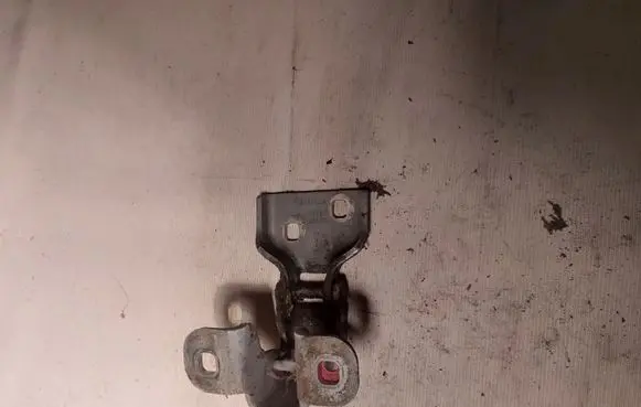 Opel Vivaro Front door lower hinge 311772M