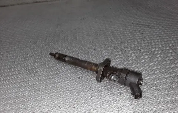 Citroen C8 Fuel injector 0445110036