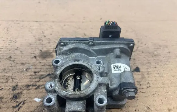 Nissan Juke I F15 Throttle valve H8201171233 4E20 161206038R