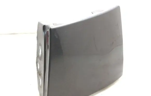 Rear/tail light trim molding