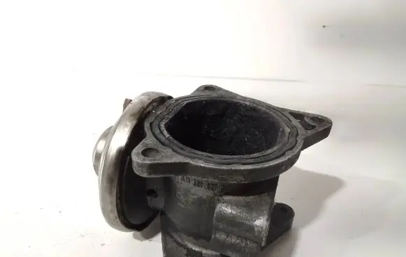 Seat Toledo II (1M) EGR valve 038129637