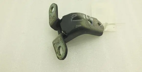 Hyundai Kona I Rear door lower hinge