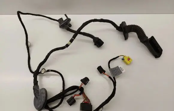 Front door wiring loom